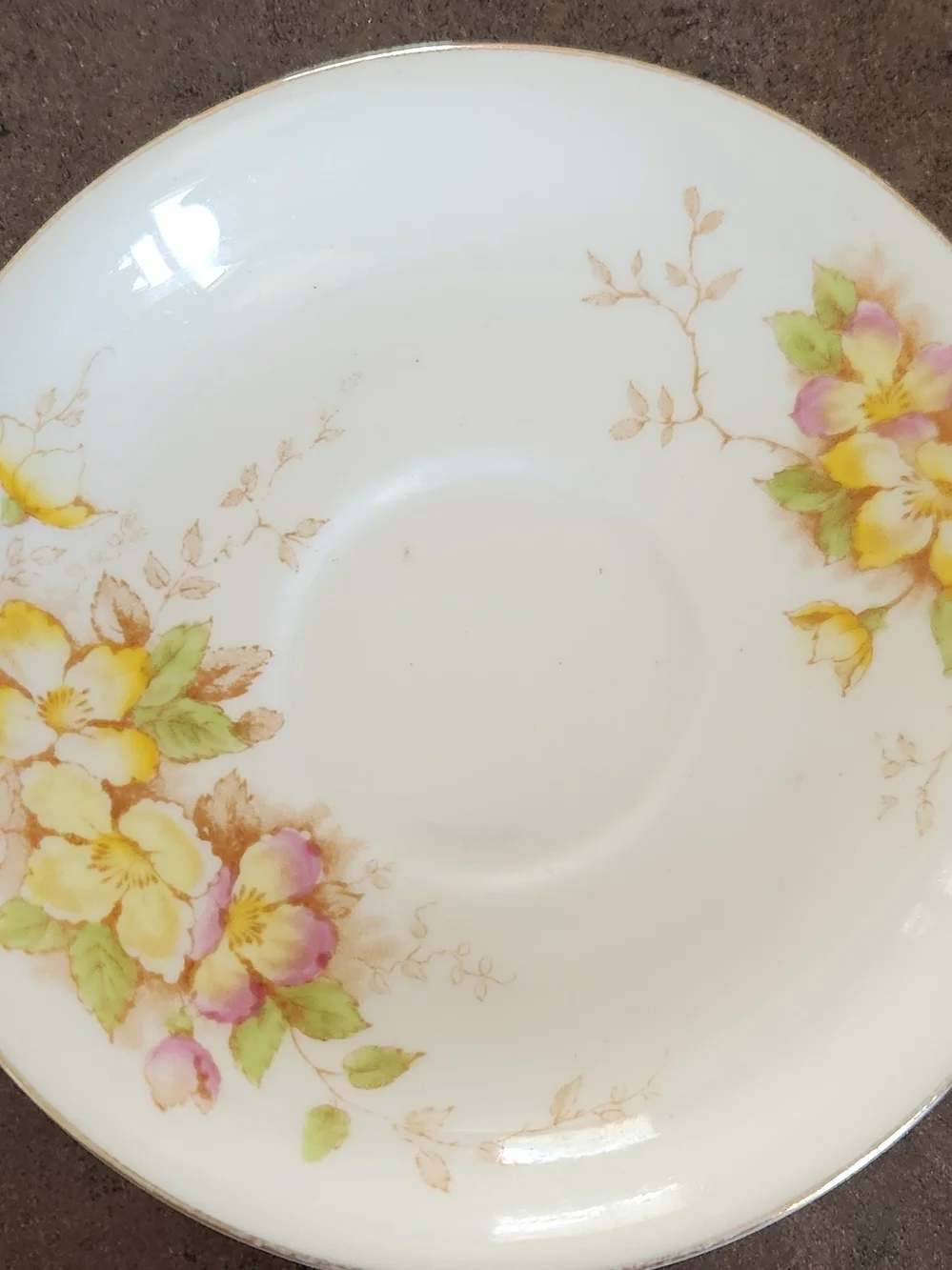 Vintage Sampson Smith Old Royal Bone China Saucer Gold Trim Floral Design
